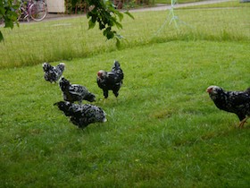 image.php?file=KZvgDBhJfmsetfGEkokRGiRcuCNkRpTcNNIRPqbubSXUyeYhRHzYqP_kSNTjBmLP