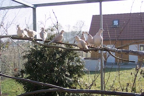 image.php?file=gmmz_xcBoWbTeRboAMKtmQ_VqhOiiNCN_oLzko_YKbrotRctemmPBmlsSza_McML