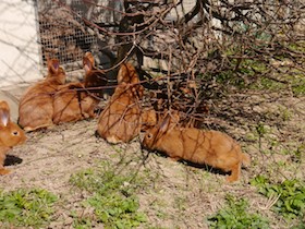 image.php?file=jeZsltknOUoydKxD_tvBQPgEFo_ISZLBDltoddbsyOqaZndYgYawnF_tt_AKZMMc