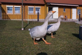 image.php?file=yuwKLgppcuKphQYnOQdCteMJokOKUaKSUFcfmRTOLeCsuafHrIKjmWtZGHjahusA